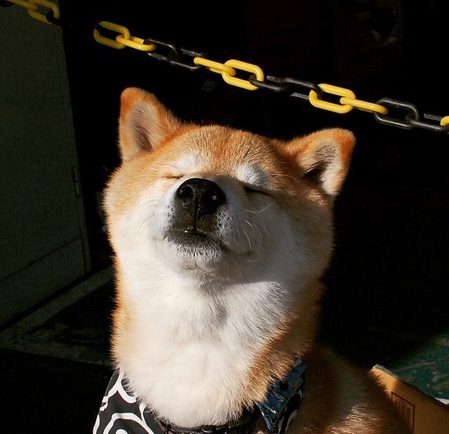 开yun体育-运动员康复管理技术提升，运动员康复管理技术提升措施