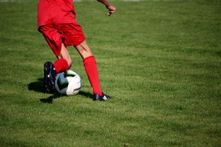 篮球运动员心理韧性提升及干预体系建设，篮球运动员的心理训练